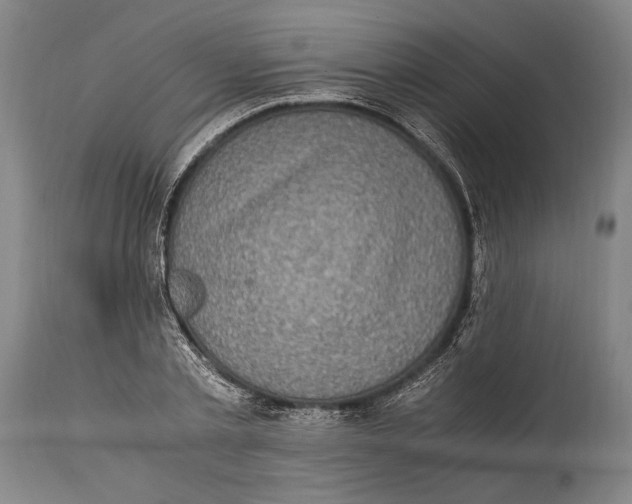 X0000114680789200911121455