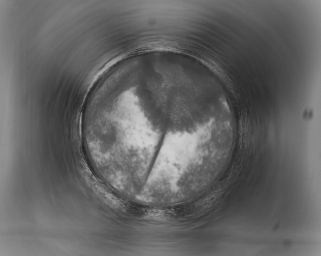 X0000114680790200911121455