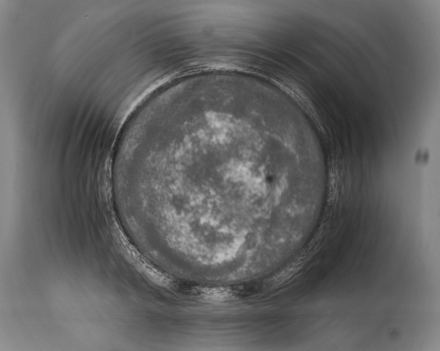 X0000114680798200911121455