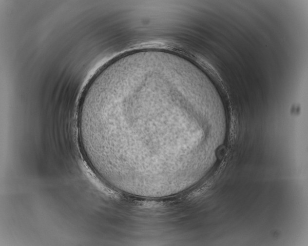 X0000114680800200911121455