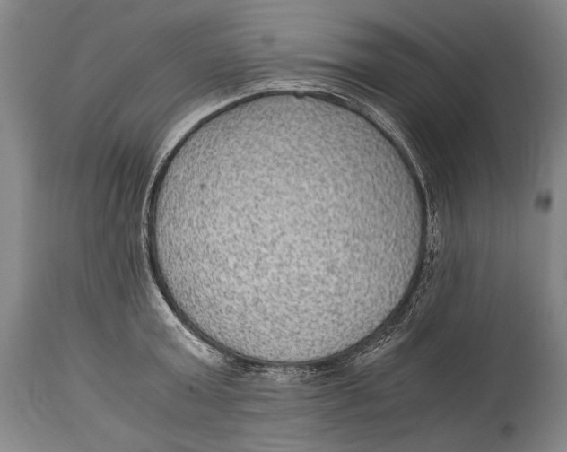 X0000114680803200911121455