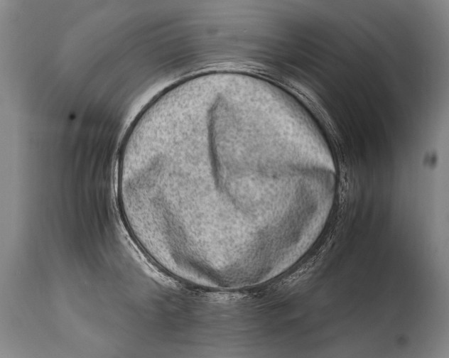 X0000114680804200911121455