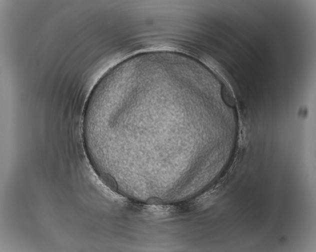 X0000114680805200911121455