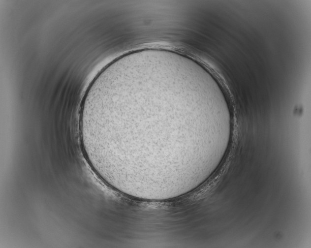 X0000114680808200911121455
