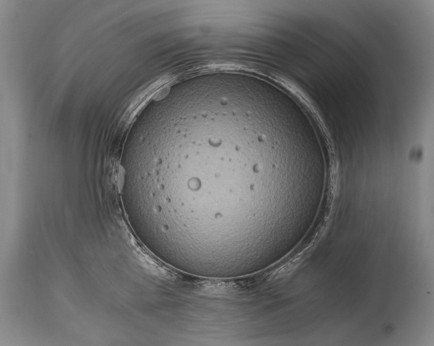 X0000114680809200911121455