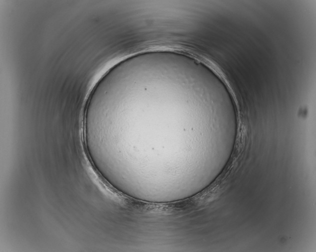 X0000114680811200911121455