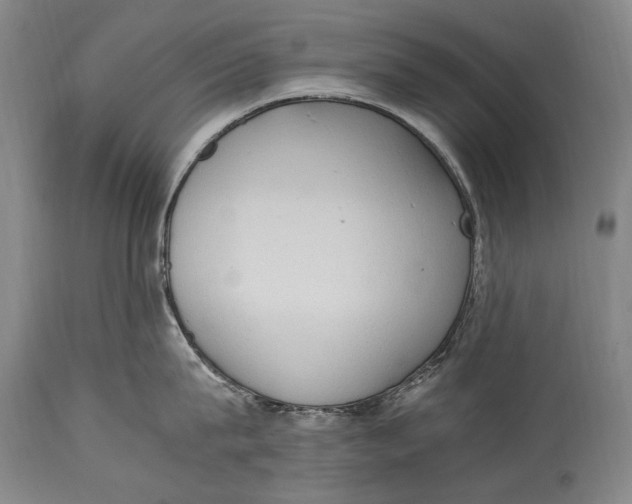X0000114680815200911121455
