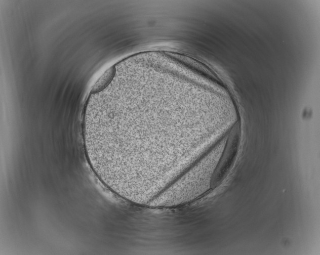 X0000114680816200911121455