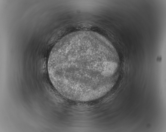 X0000114680818200911121454