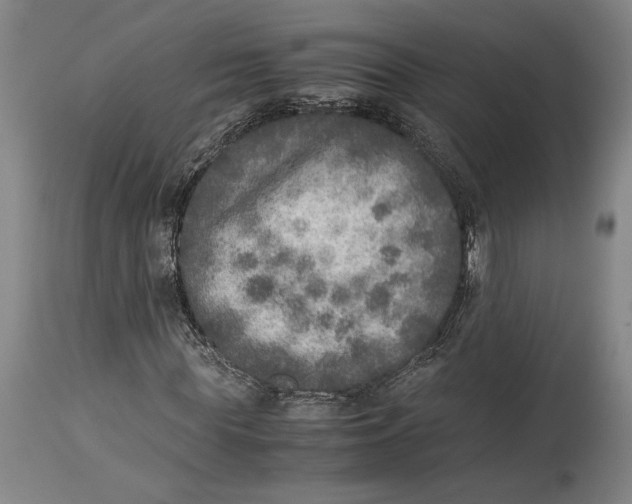 X0000114680819200911121454