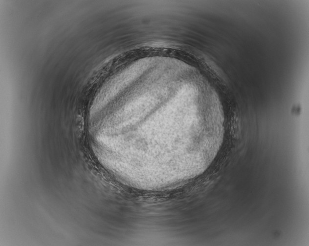 X0000114680821200911121454