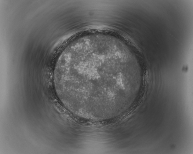 X0000114680822200911121454