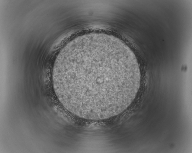 X0000114680824200911121454