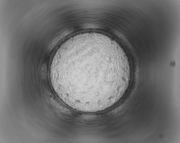X0000114680825200911121454