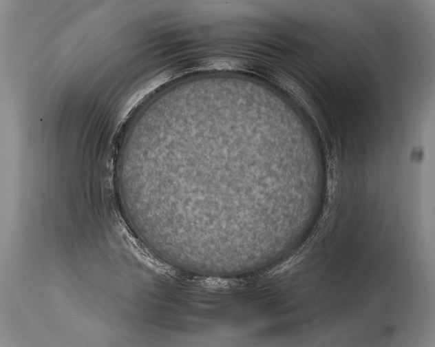 X0000114680827200911121454