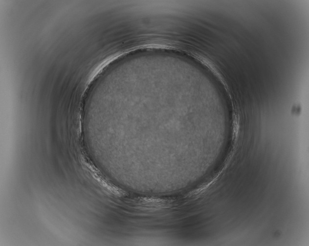 X0000114680829200911121454
