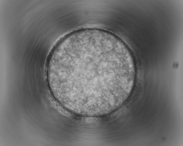 X0000114680832200911121454