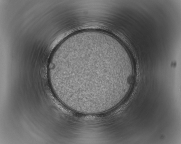 X0000114680834200911121454