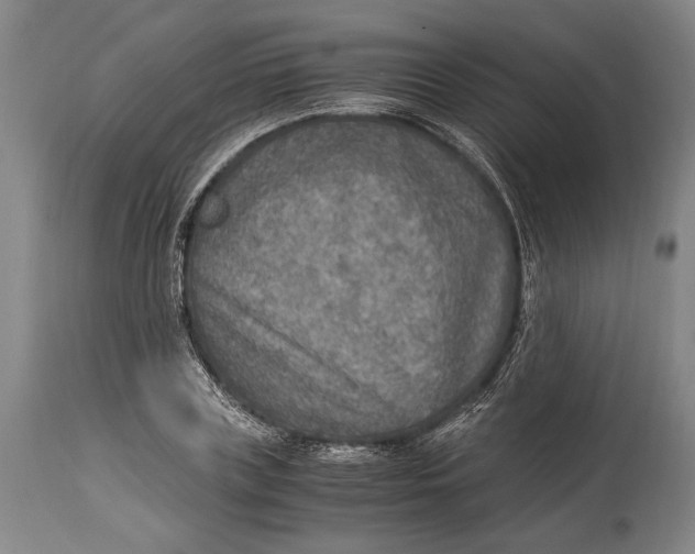 X0000114680835200911121454