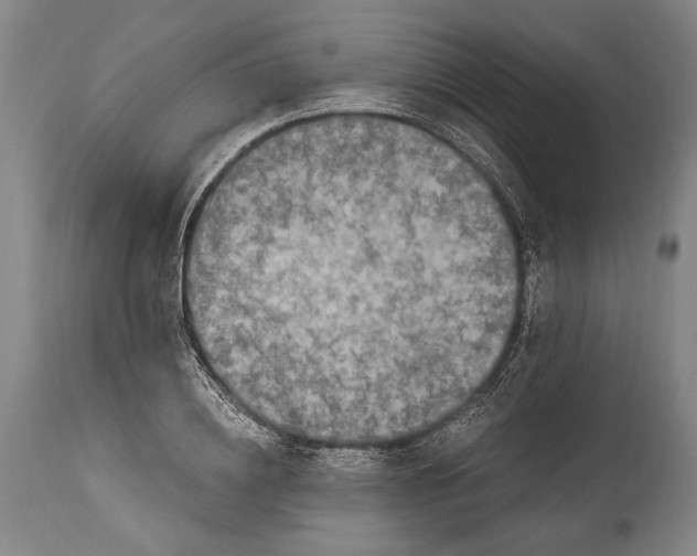 X0000114680836200911121454