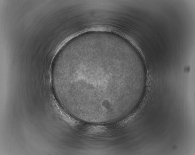 X0000114680837200911121454