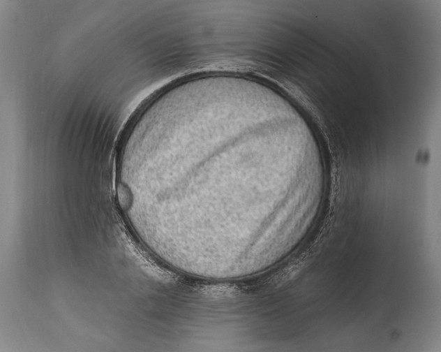 X0000114680838200911121454