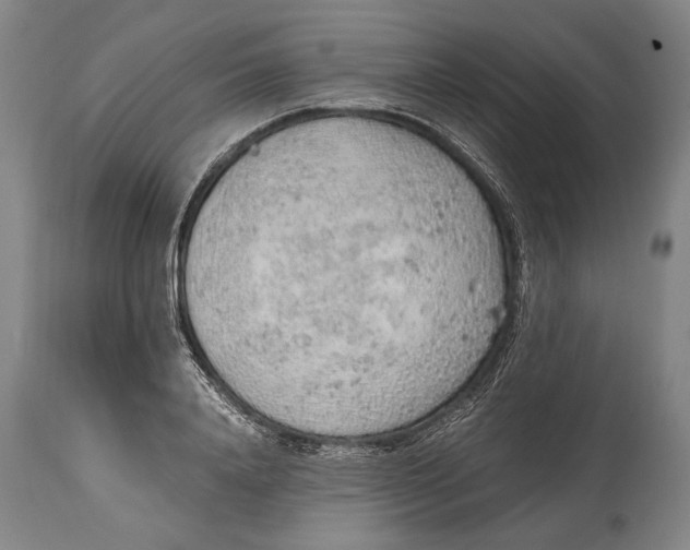X0000114680840200911121454
