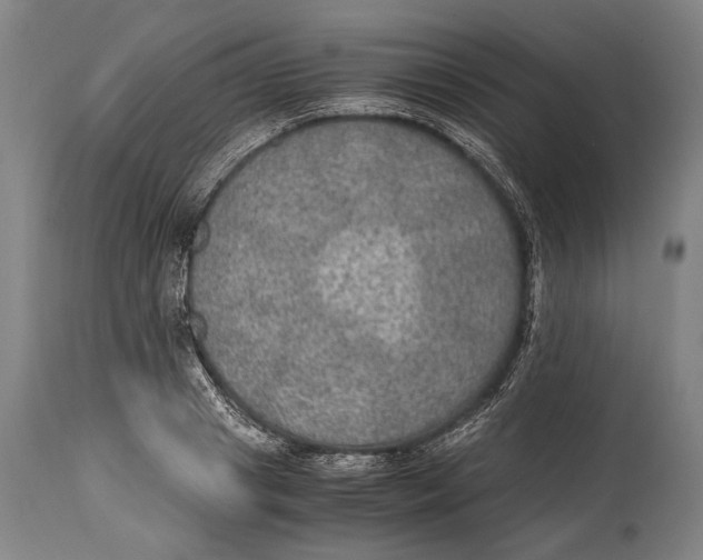 X0000114680841200911121454