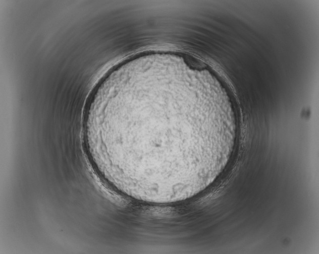X0000114680845200911121454