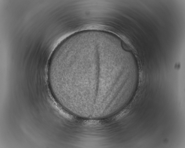 X0000114680846200911121454
