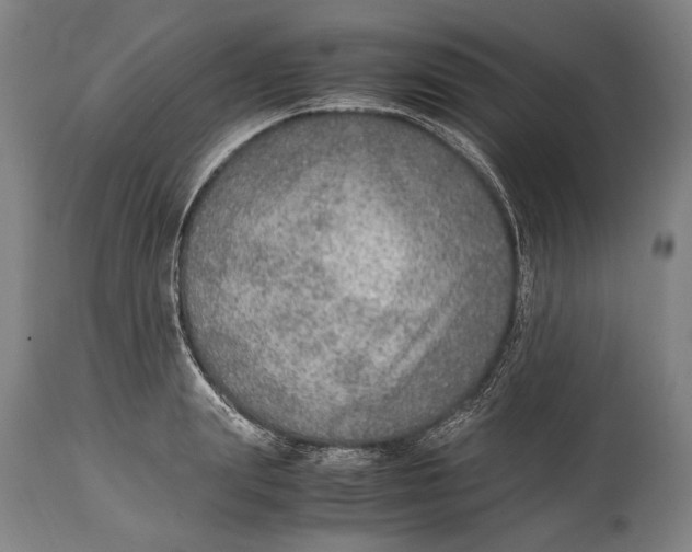 X0000114680847200911121454