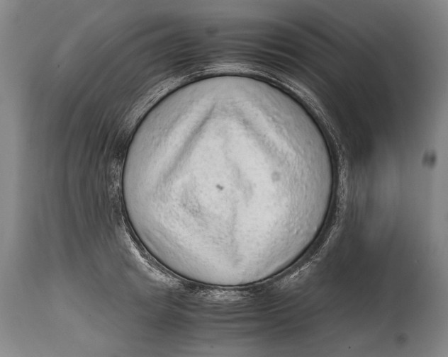 X0000114680849200911121454