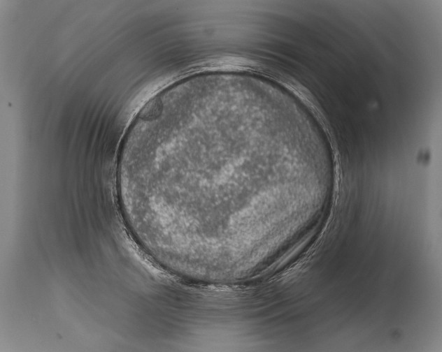 X0000114680850200911121454