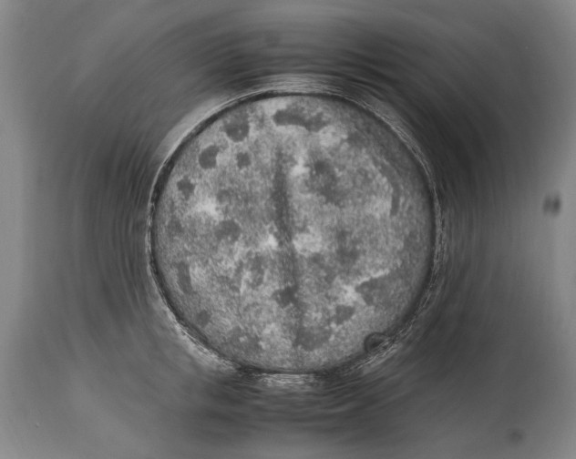 X0000114680853200911121454