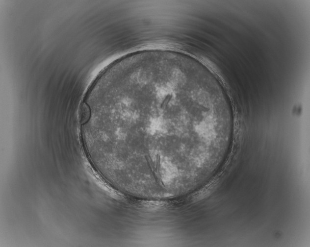 X0000114680854200911121454