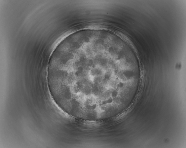 X0000114680855200911121454