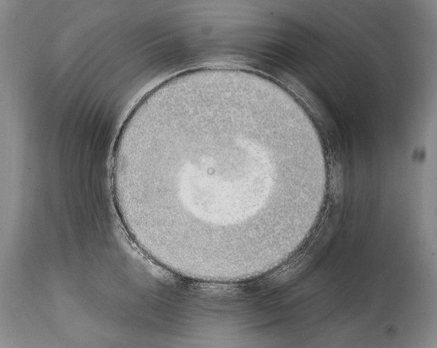 X0000114680856200911121454