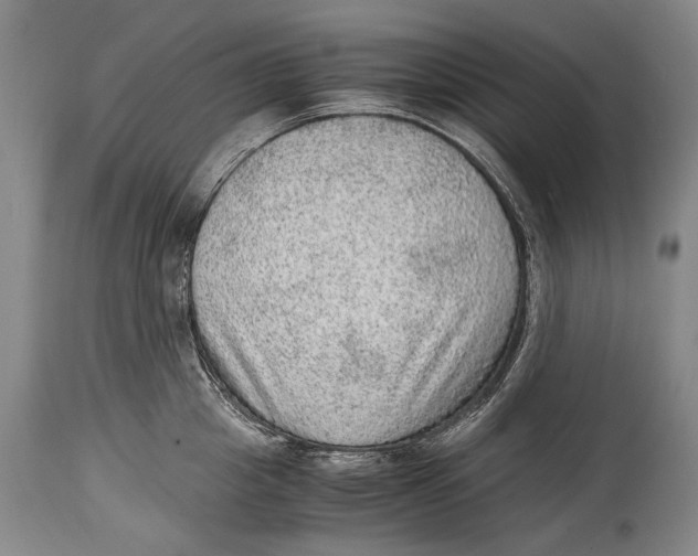 X0000114680857200911121455
