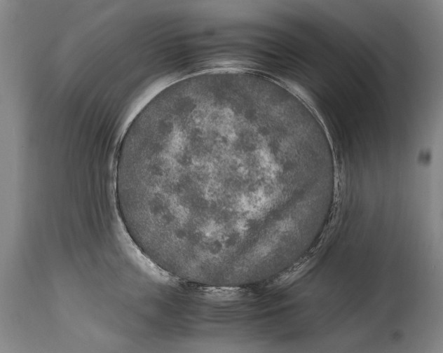 X0000114680859200911121455