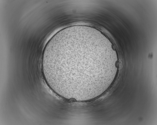 X0000114680860200911121455