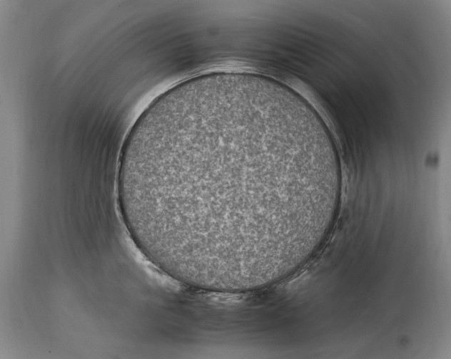 X0000114680861200911121455