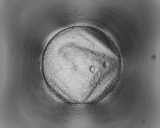 X0000114680862200911121455