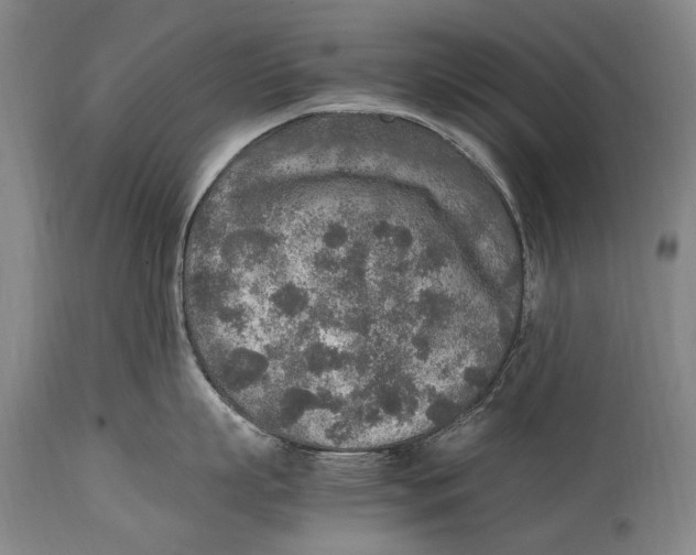 X0000114680863200911121455