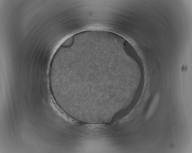 X0000114680864200911121455