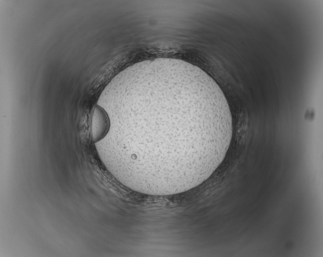 X0000114680866200911121454