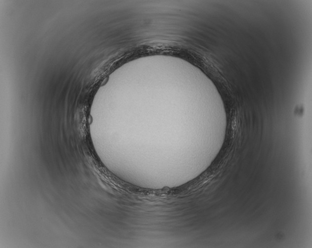 X0000114680868200911121454
