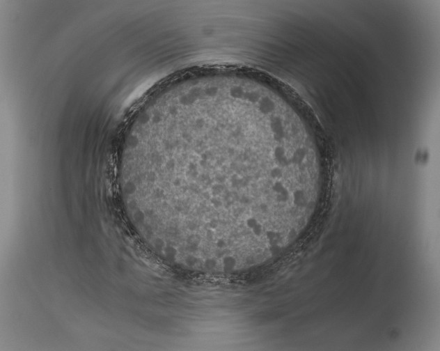 X0000114680871200911121454