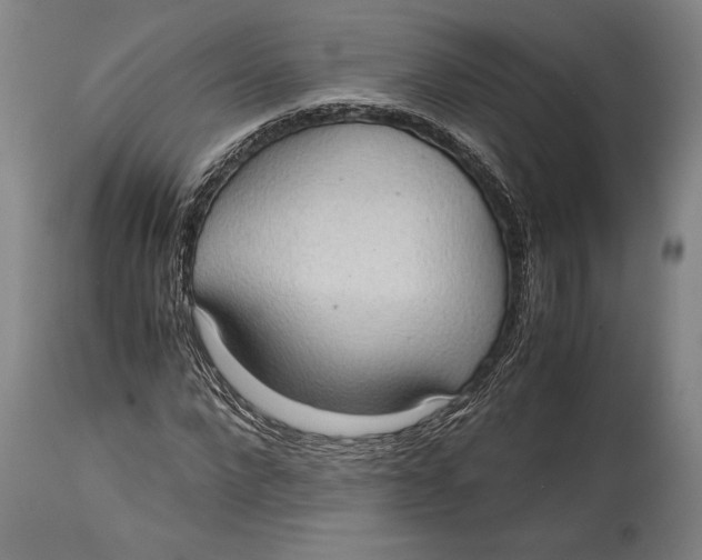 X0000114680872200911121454