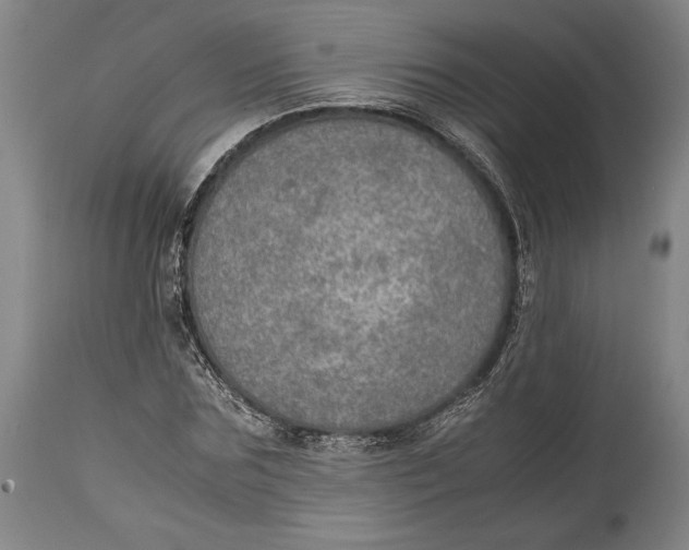 X0000114680875200911121454
