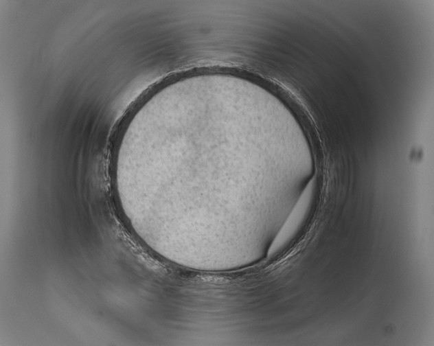 X0000114680878200911121454
